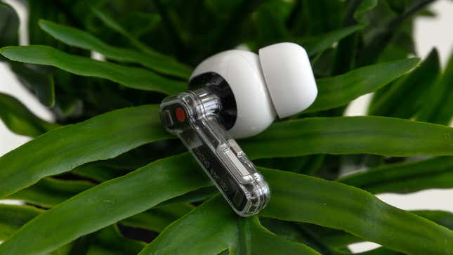 A close-up of one of the Nothing Ear (2) earbud's stems, sitting on a green plant.