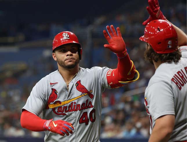 Aug 8, 2023; St. Petersburg, Florida, USA; St. Louis Cardinals catcher Willson Contreras (40) is congratulated after he hit a home run against the Tampa Bay Rays during the ninth inning at Tropicana Field.