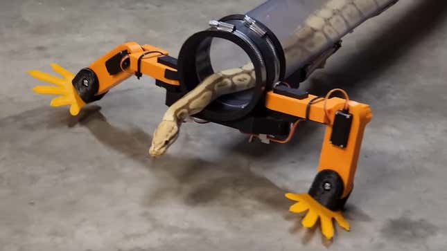 YouTuber decides to fix snakes, constructs for them