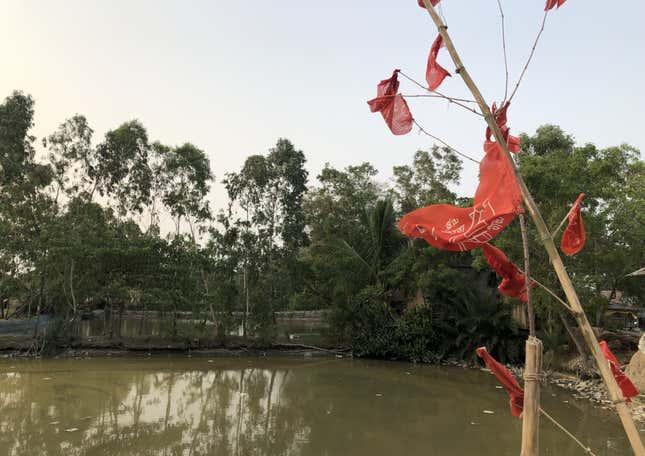 Revolutionary Socialist Party (RSP) flags decorate a tree near the market in Dayapur.