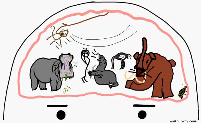 Image for article titled A step-by-step guide to a meaningful life for the “spiritual, but not religious”