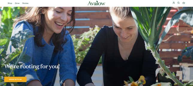 「Avalow」のホームページより。
