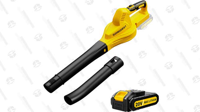 Say Goodbye to an Unruly Lawn: This Cordless Leaf Blower Is 49% Off