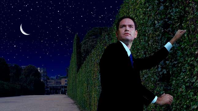 Image for article titled Marco Rubio Climbs Over Garden Wall For Forbidden Midnight Meeting With Super PAC