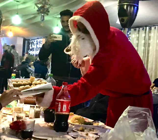 Santa Claus serves up baklava