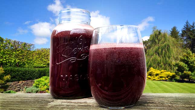 Mason jar and glass of Blueberry Switchel on wooden table in front of lush green backdrop