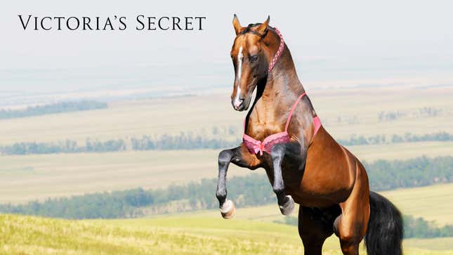 Image for article titled Victoria’s Secret Apologizes For Ill-Advised Body Positivity Campaign Showing Horse Wearing Bra