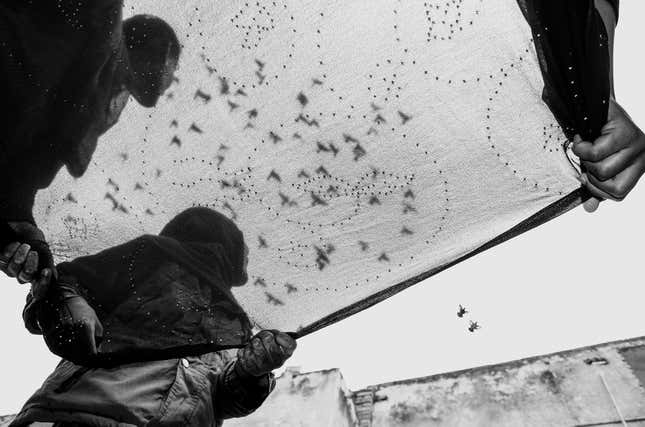Children and grandchildren of the Indian Badla artisans straighten the Mukaish fabric after washing them. Deorhi Agha Meer, Chandi Khana, Old Lucknow, Uttar Pradesh.