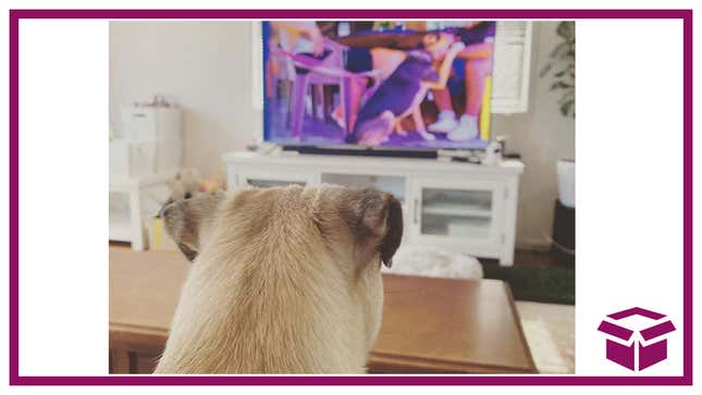 DOGTV is premium programming designed to keep your pup chill while you’re not around.