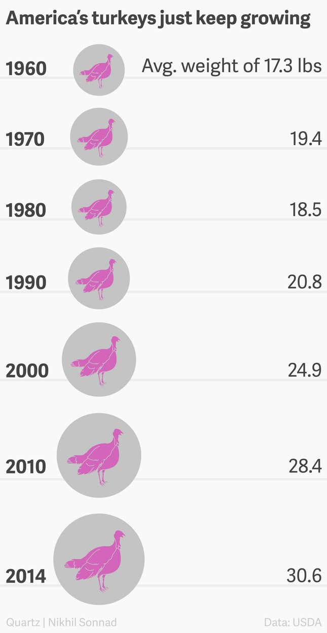 America's turkeys