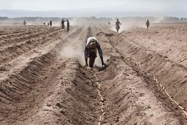 Ethiopia land grabbing