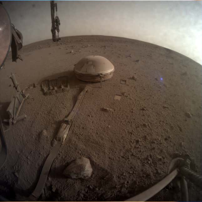 An image of the Martian surface taken by InSight.