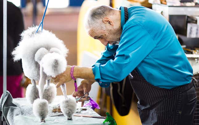 Image for article titled King’s realm: Behind the scenes at the Westminster Dog Show
