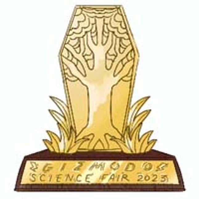 Image for article titled The Winners of the 2023 Gizmodo Science Fair