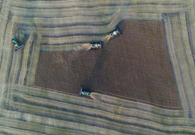 Image for article titled Aerial photos reveal the hypnotic geometry of farming
