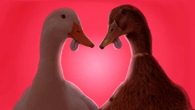 Image for article titled This Valentine’s Day, slip someone the (duck) tongue