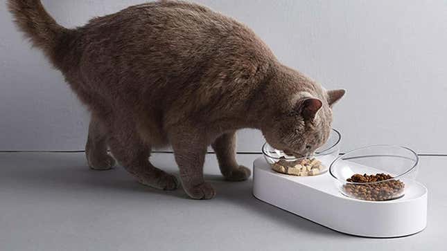 Elevated Cat Bowl With Stand | $15 | Amazon | Clip 25% off coupon