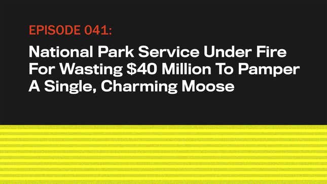 Image for article titled National Park Service Under Fire For Wasting $40 Million To Pamper A Single, Charming Moose