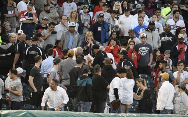 We Needed to Do Something': White Sox Unveil Extended Protective Netting -  The New York Times