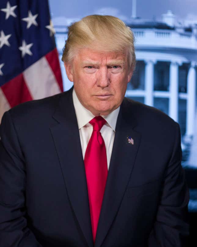 A portrait released during Trump’s inauguration.