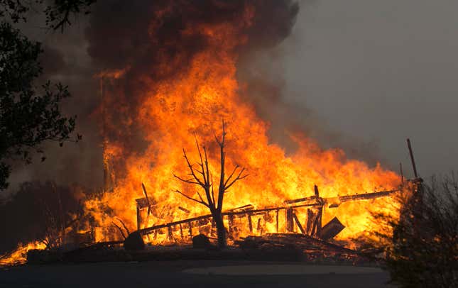Image for article titled Wildfires in Napa and Sonoma threaten California’s renowned wine country