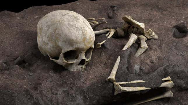 Virtual reconstruction of the child’s position within the burial pit. 