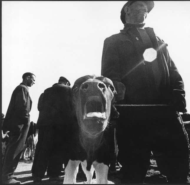 From series No. 318. 1969