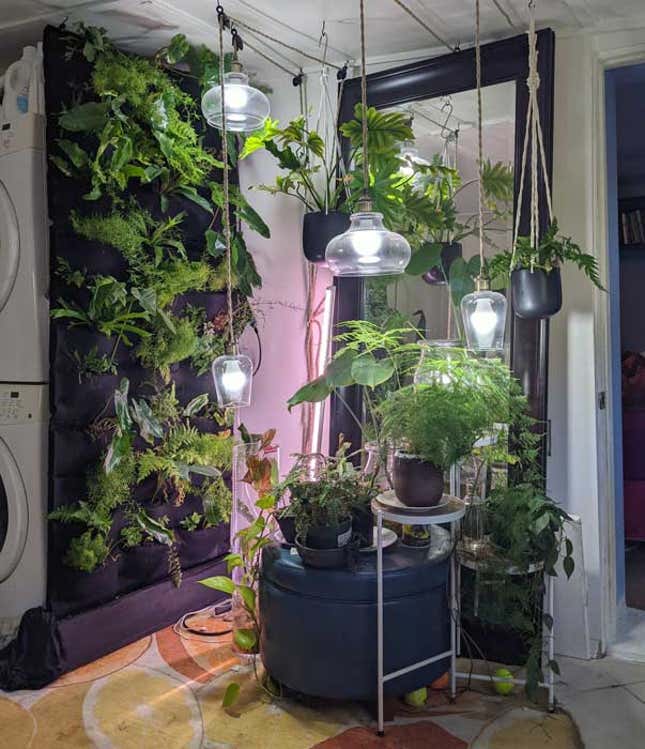 Image for article titled Make an Automatically Watering Plant Wall With Your Washing Machine