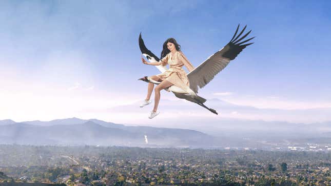 Image for article titled Kylie Jenner Criticized For Taking 12-Minute Flight On Private Endangered Whooping Crane