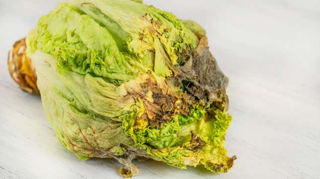 old lettuce turning brown