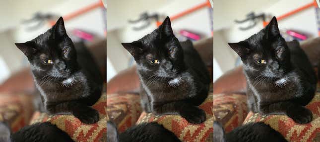 Adjusting the f-stop allows you to save portrait images that might otherwise be too aggressively blurred. From left to right: f-stop 1.4, f-stop 4, f-stop 5.6.