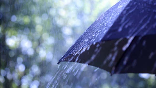 Image for article titled Do You Need an Umbrella Insurance Policy?