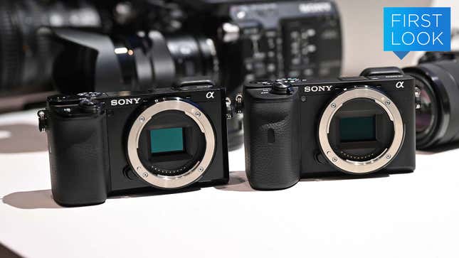 Image for article titled Sony Brings Big Tech to More Affordable APS-C Cameras with the a6600 and a6100