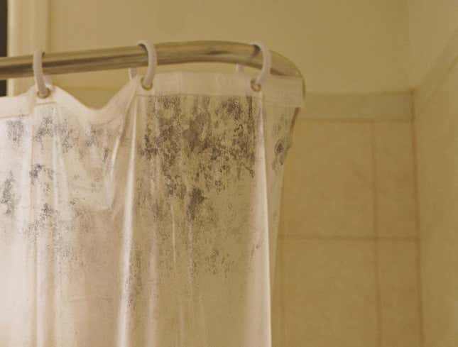 Image for article titled Absolutely Disgusting Shower Curtain Liner Has Another 3 Years Left In It