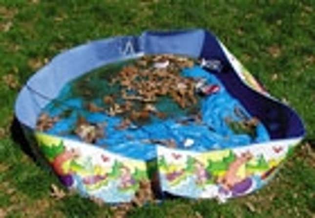 Image for article titled Kiddie Pool Falls Into Disrepair