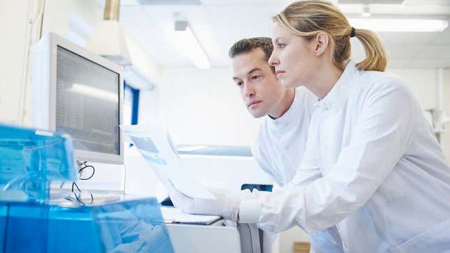 Image for article titled Scientists Posit Theoretical ‘Productive Weekend’