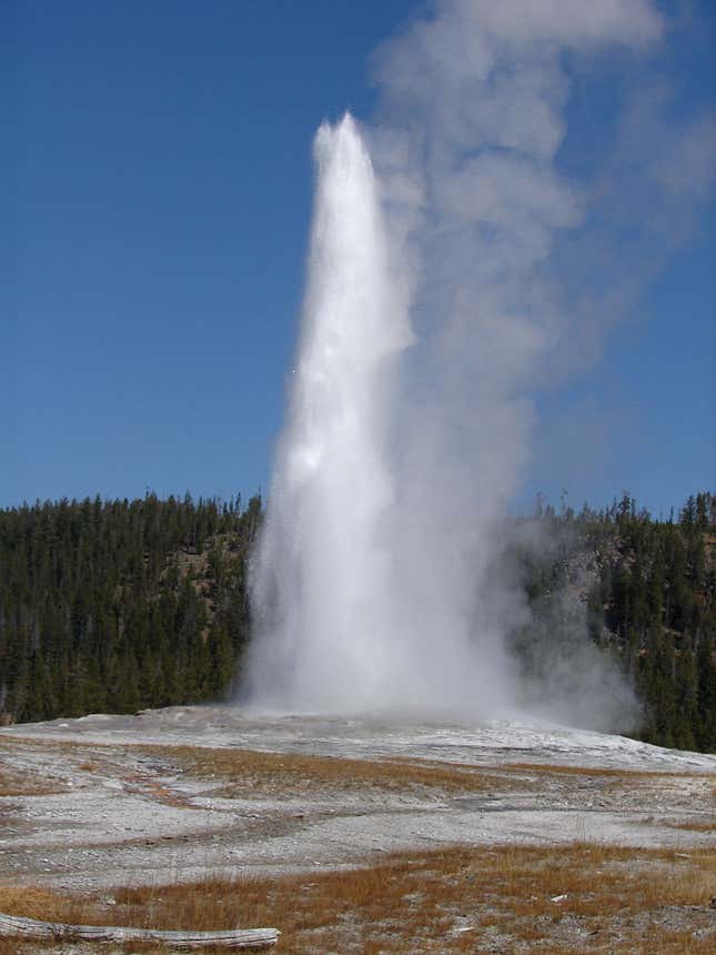 Imagen para el artículo titulado Una mujer se cuela en Yellowstone, cerrado por la pandemia. Cae en las aguas termales tomando fotos