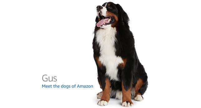 Image for article titled Amazon's Error Dogs, Ranked