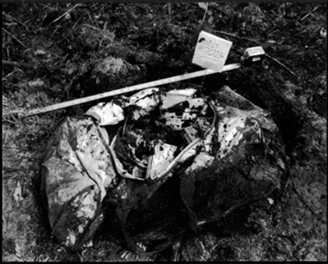 Photos of uncovered “police evidence” supposedly found beneath the foundations of the Rustin Parr house, taken by Ben Rock in a friend’s backyard.