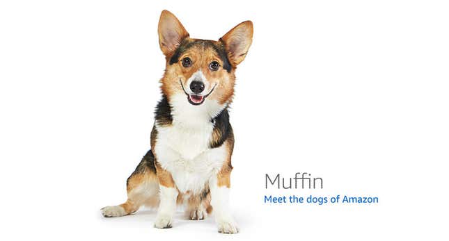 Image for article titled Amazon's Error Dogs, Ranked