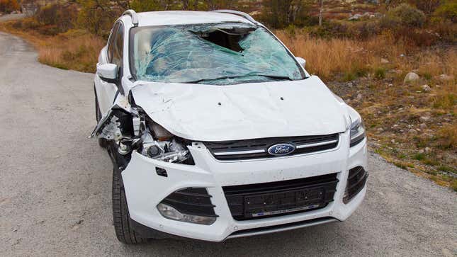 A photo of a smashed car after it hit a moose. 