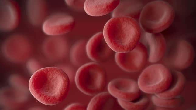 Imagen para el artículo titulado Transfunden por primera vez a personas sangre creada en un laboratorio