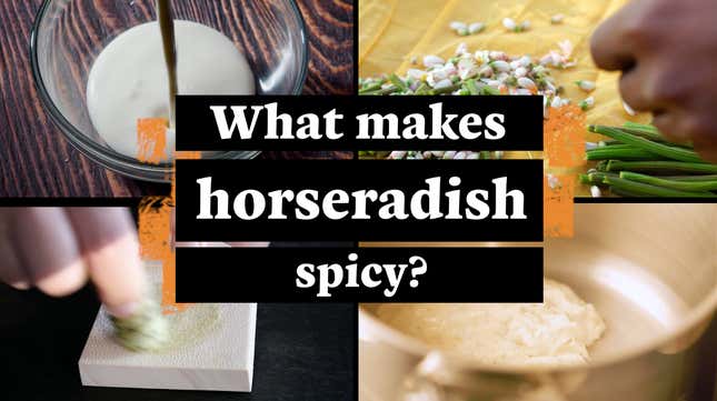 Why Horseradish Burns the Hell Out of Your Nose