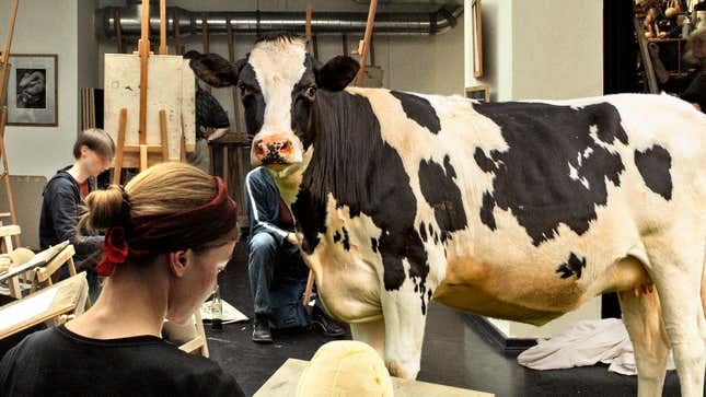 Image for article titled Iowa Art Students Spend Class Sculpting Butter With Live Cow Model