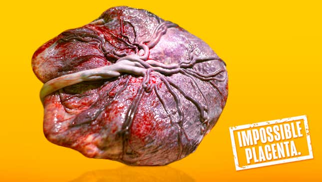 Image for article titled Scientists Successfully Create Artificial Placenta That Tastes Just As Delicious As Real One