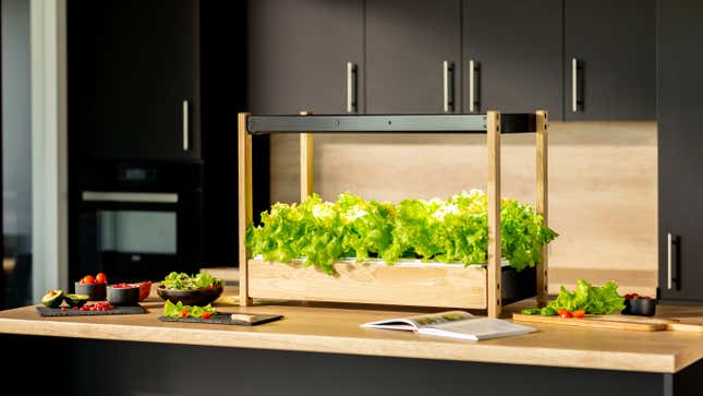 Image for article titled This Indoor Garden Will Feed You Greens Year-Round