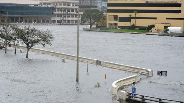 Eine Frau beobachtet die Überschwemmungen am Bayshore Blvd. entlang der Old Tampa Bay, nachdem die Winde des Hurrikans Idalia im August Wasser über die Ufermauer gedrückt hatten.  30. Februar 2023 in Tampa, Florida. 