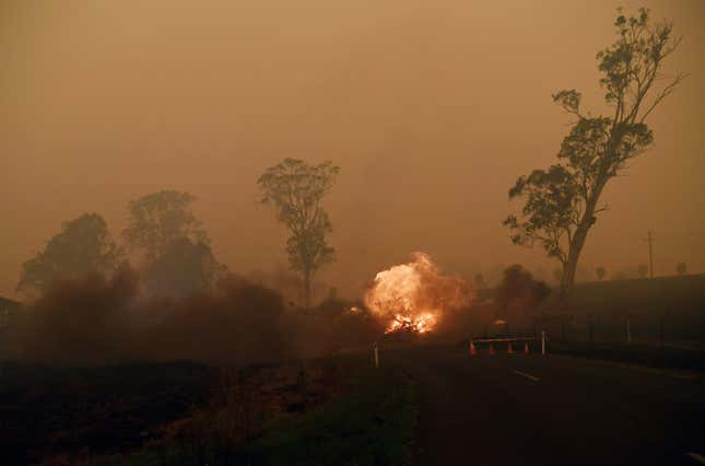 A burning gum tree is felled to stop it from falling on a car in Corbago, as bushfires continue in New South Wales, Australia January 5, 2020.