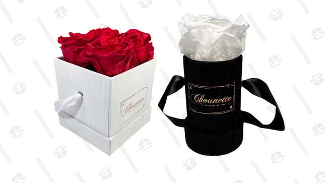 Chounette L’ Etonnante 4 Preserved Roses Box | $35 | StackSocial
Chounette La Charmante Preserved Rose Set of 3 | $30 | StackSocial