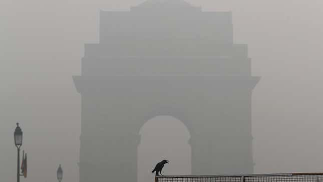 A crow sits on a barricade in front of India Gate amidst smog in New Delhi
